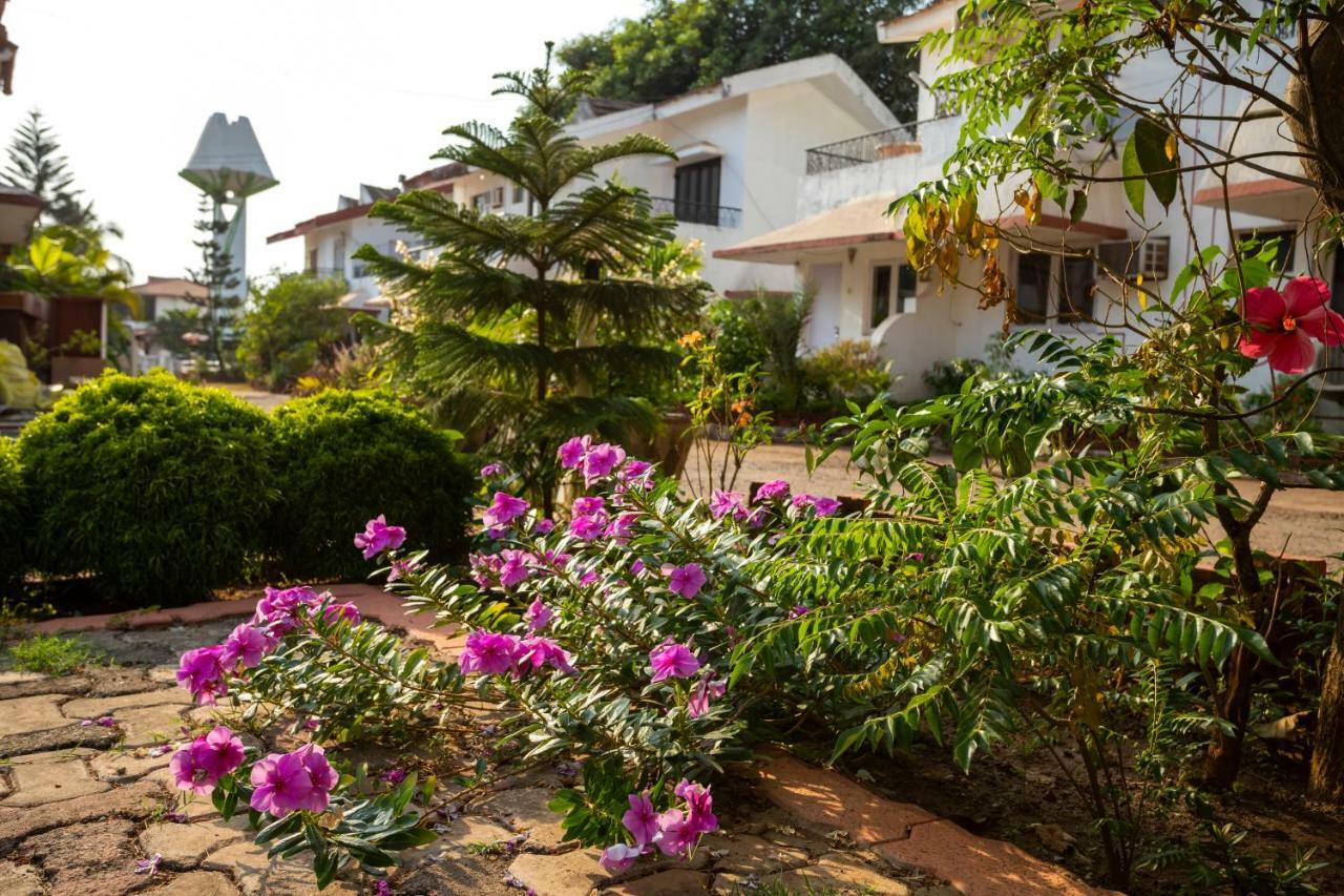 Aspirealconvilla-2Bhk-Beachtouch-Candolim Exterior photo